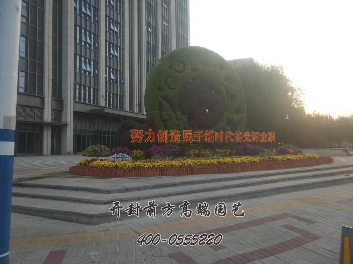 北京大興區(qū)菊花造型修飾
